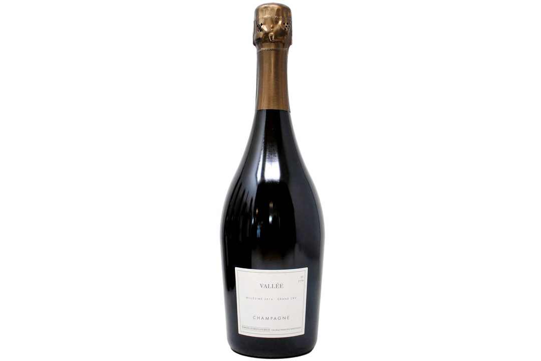 Les Monts Fournois Vallee  Ay Grand Cru 2014
